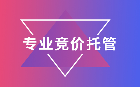 河南競(jìng)價(jià)托管代運(yùn)營 河南競(jìng)價(jià)托管代運(yùn)營